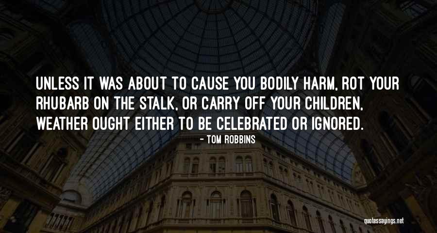 Gancedo Quotes By Tom Robbins Gancedo Quotes By Tom Robbins