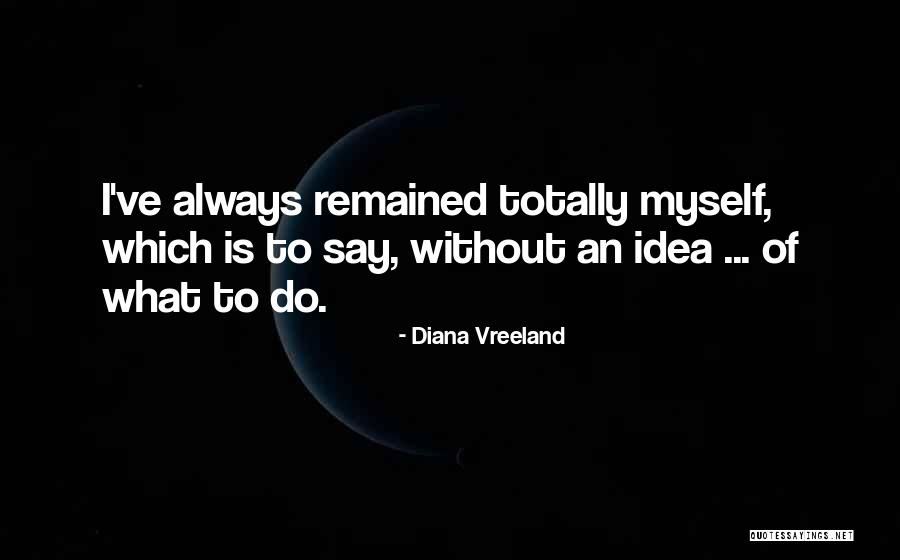 Gancini Driver Quotes By Diana Vreeland Gancini Driver Quotes By Diana Vreeland