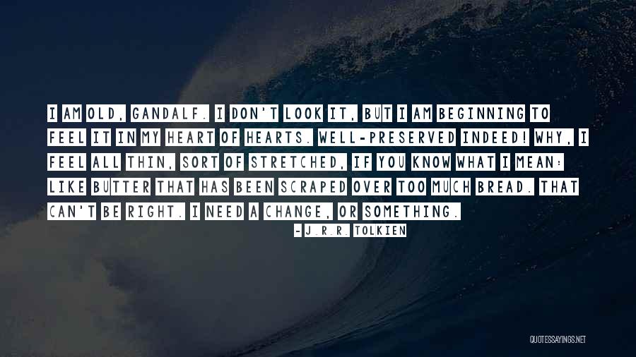 Gandalf From The Fellowship Of The Ring Quotes By J.R.R. Tolkien Gandalf From The Fellowship Of The Ring Quotes By J.R.R. Tolkien