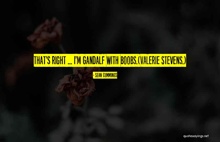 Gandalf's Quotes By Sean Cummings Gandalf's Quotes By Sean Cummings