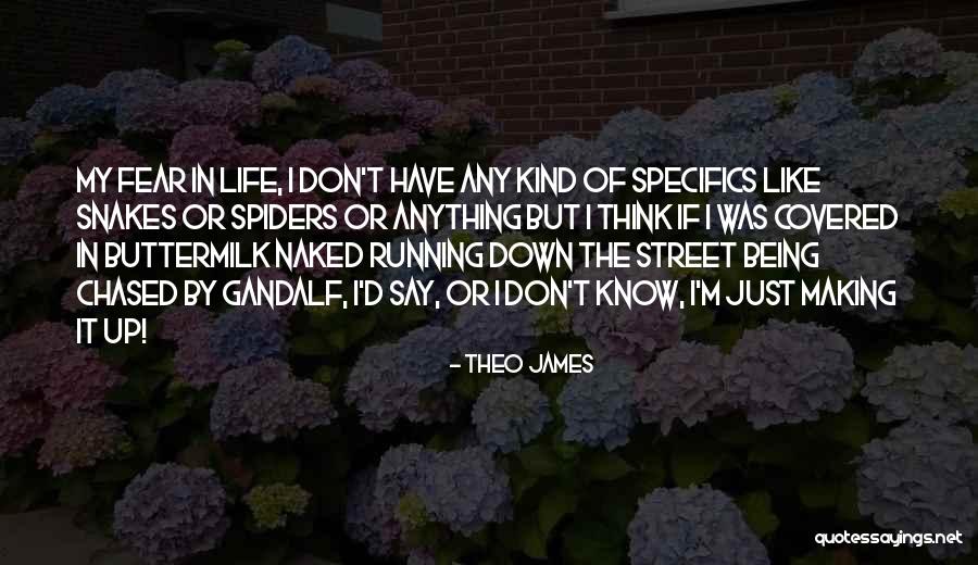Gandalf's Quotes By Theo James Gandalf's Quotes By Theo James