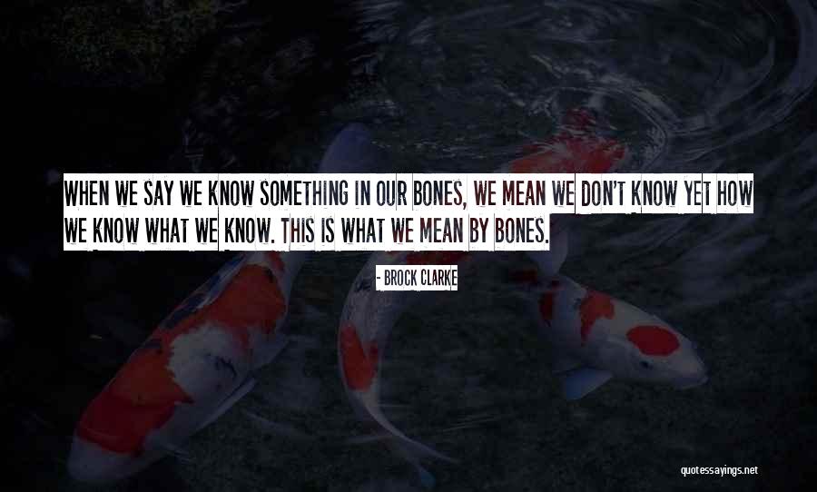 Gandamstyle Quotes By Brock Clarke Gandamstyle Quotes By Brock Clarke