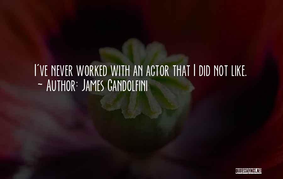 Gandolfini Quotes By James Gandolfini