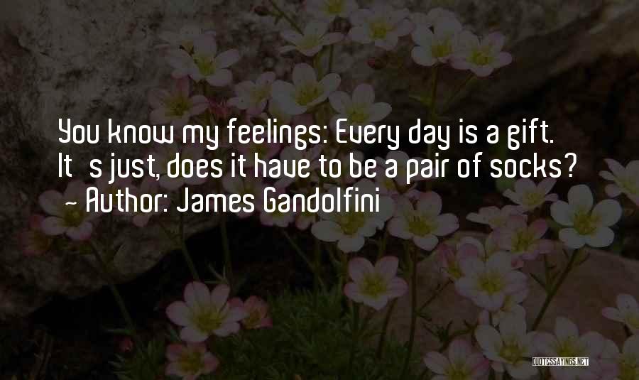 Gandolfini Quotes By James Gandolfini