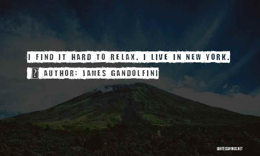 Gandolfini Quotes By James Gandolfini