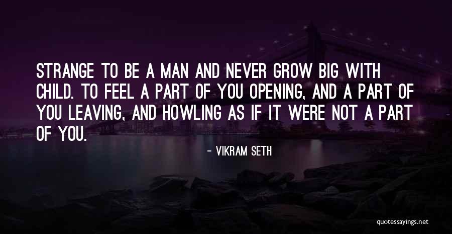 Ganeles El Quotes By Vikram Seth Ganeles El Quotes By Vikram Seth