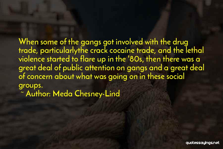 Gangs And Violence Quotes By Meda Chesney-Lind