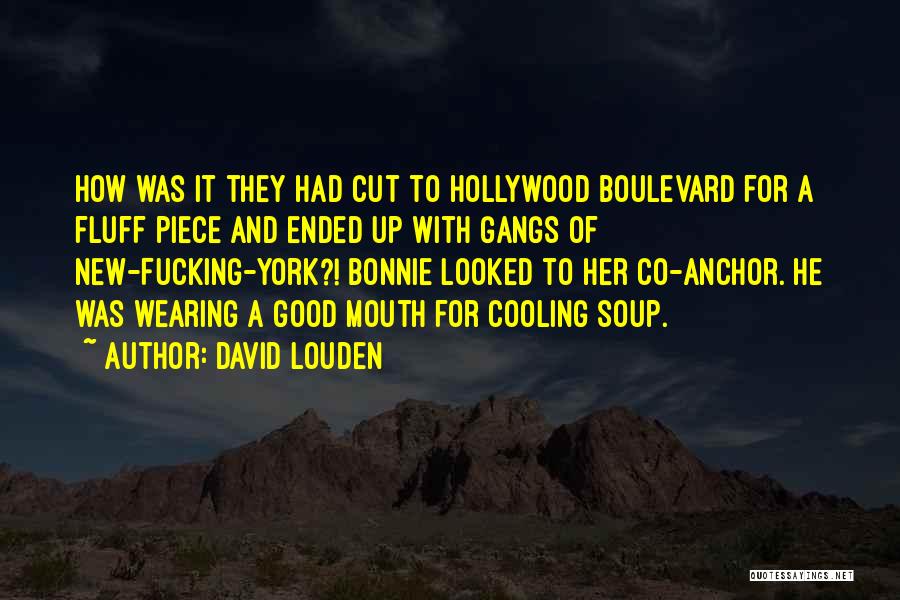 Gangs New York Quotes By David Louden