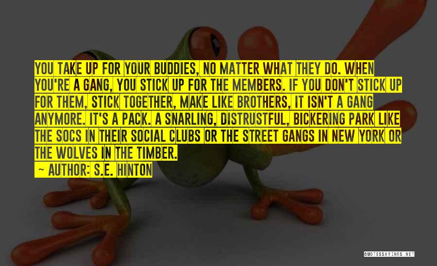 Gangs New York Quotes By S.E. Hinton