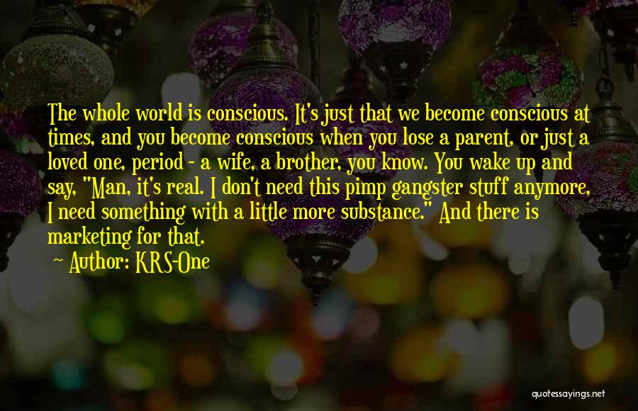 Gangster Quotes By KRS-One