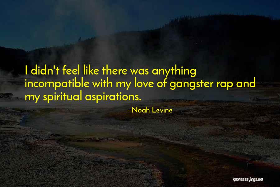 Gangster Quotes By Noah Levine