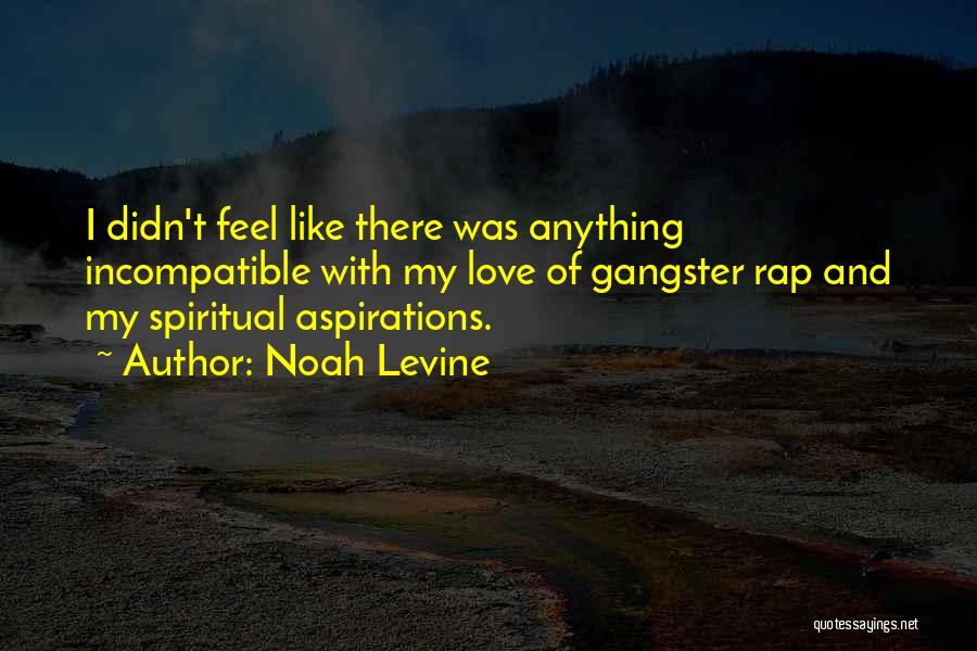 Gangster Rap Quotes By Noah Levine