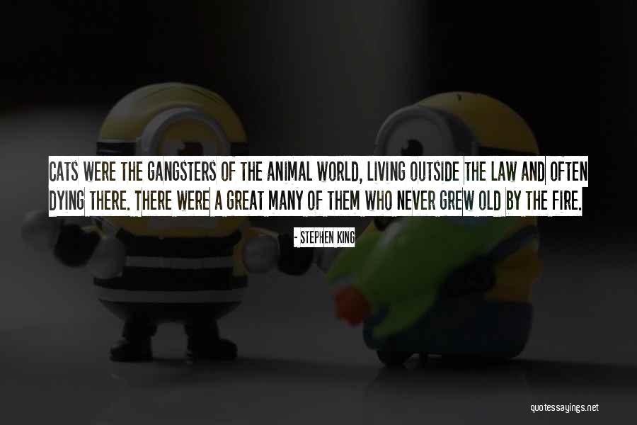 Gangsters Quotes By Stephen King