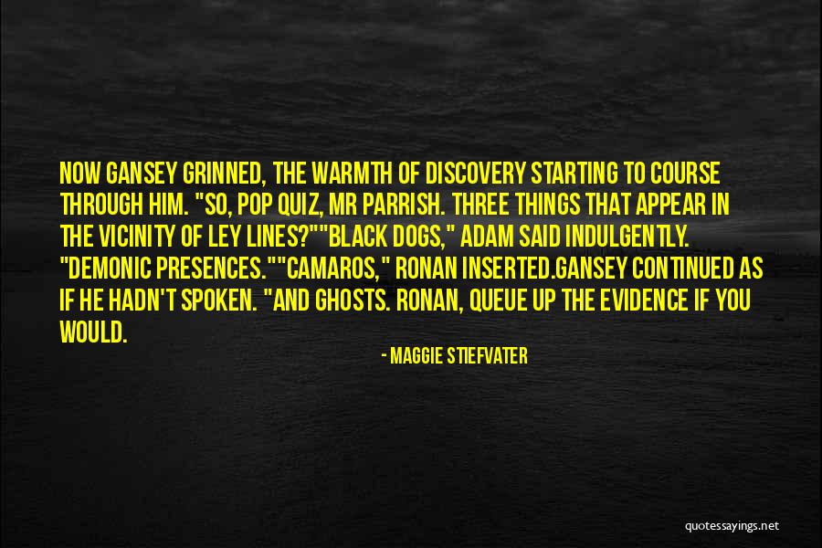 Gansey Quotes By Maggie Stiefvater