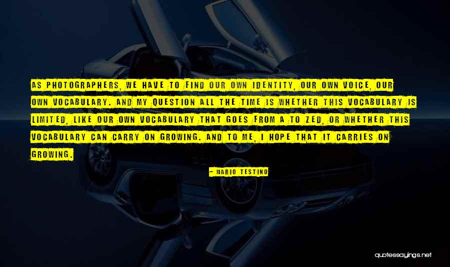Gantenbein Family Quotes By Mario Testino Gantenbein Family Quotes By Mario Testino