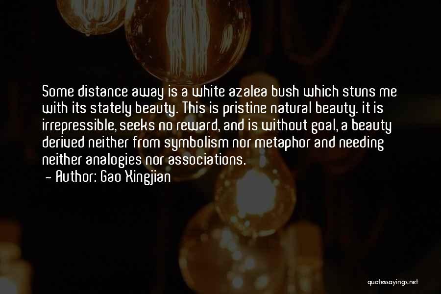 Gao Xingjian Quotes 1783236