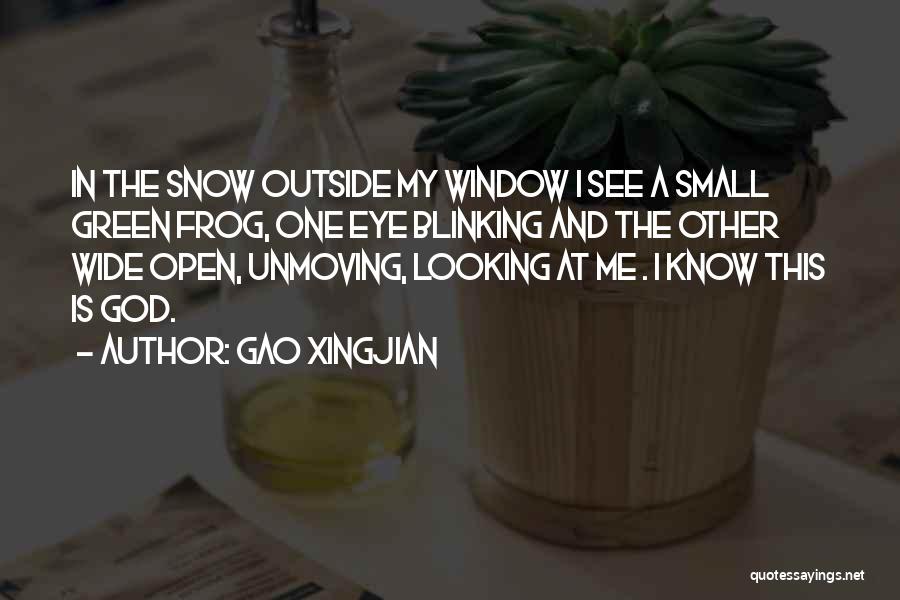 Gao Xingjian Quotes 2145480