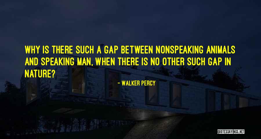 Gap Between Quotes By Walker Percy Gap Between Quotes By Walker Percy