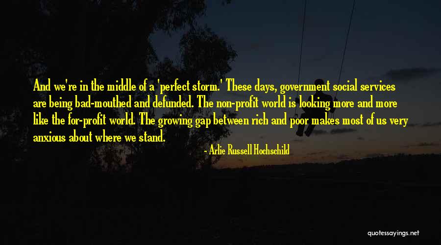 Gap Between Rich And Poor Quotes By Arlie Russell Hochschild