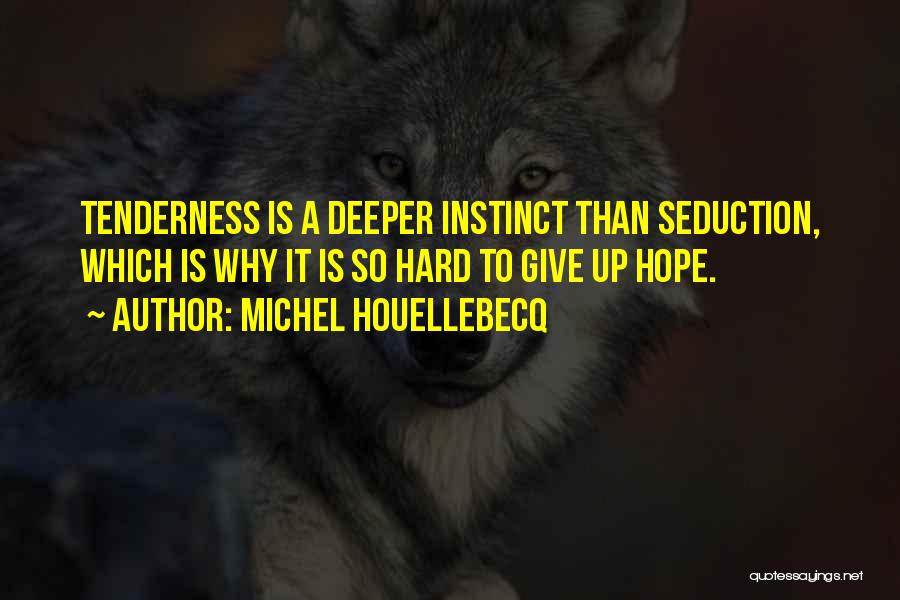 Gapardis Quotes By Michel Houellebecq