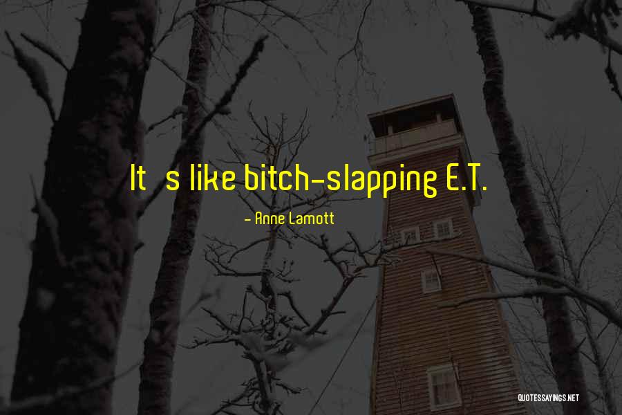 Garantie Check Quotes By Anne Lamott Garantie Check Quotes By Anne Lamott
