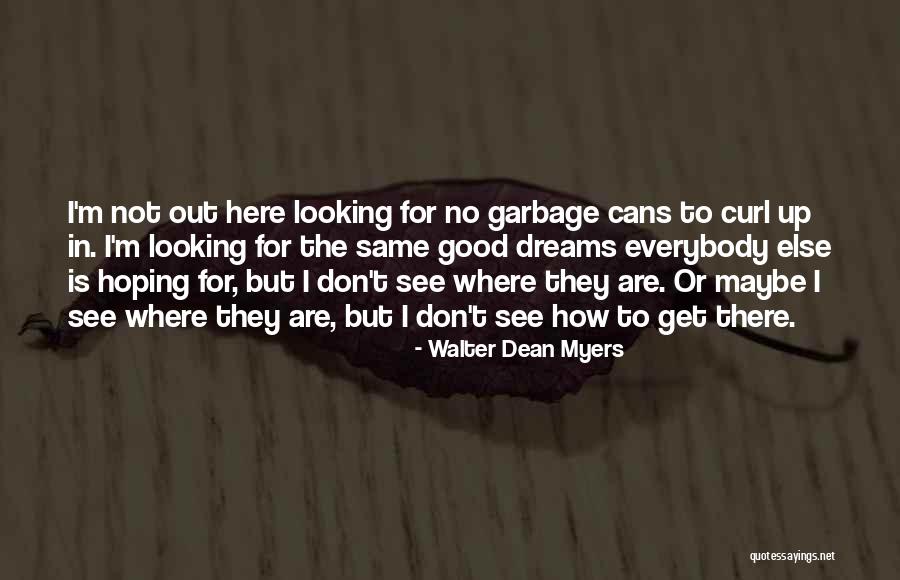 Garbage In Garbage Out Quotes By Walter Dean Myers