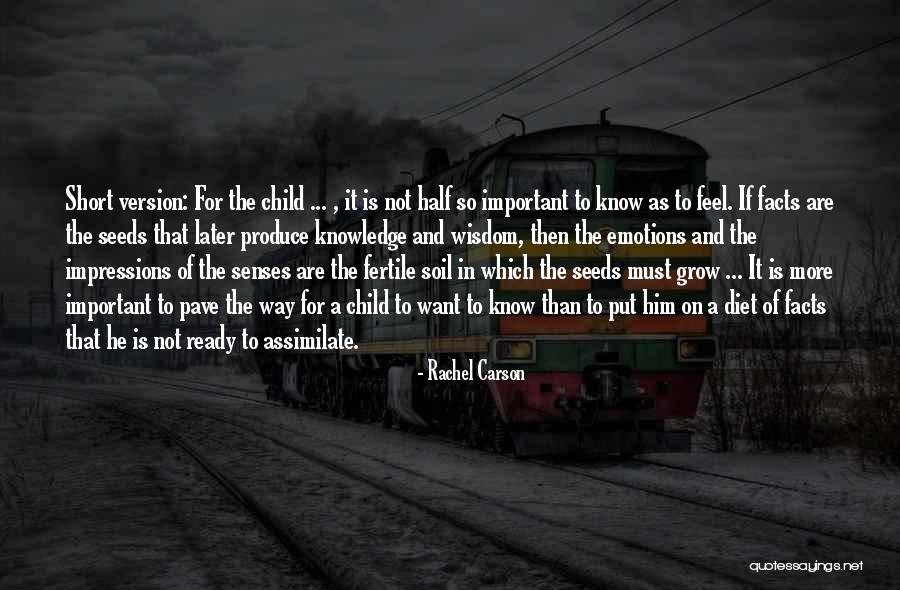 Garden And Children Quotes By Rachel Carson Garden And Children Quotes By Rachel Carson
