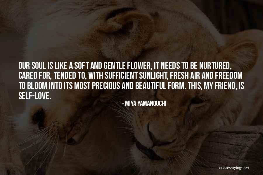 Garden Care Quotes By Miya Yamanouchi Garden Care Quotes By Miya Yamanouchi