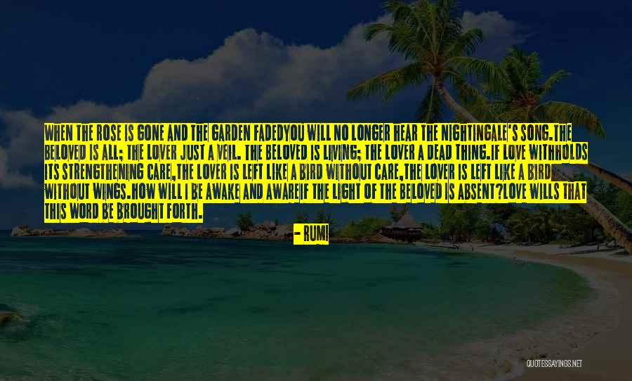 Garden Care Quotes By Rumi Garden Care Quotes By Rumi