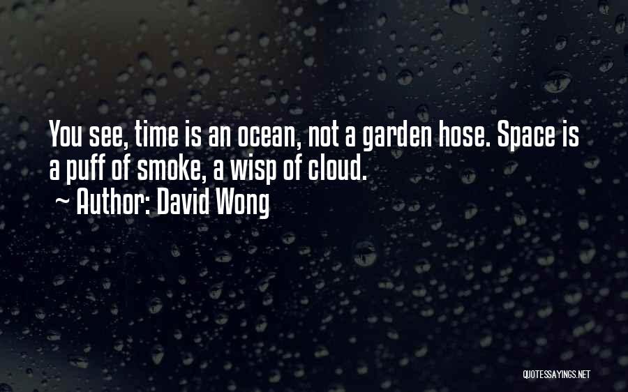 Garden Hose Quotes By David Wong