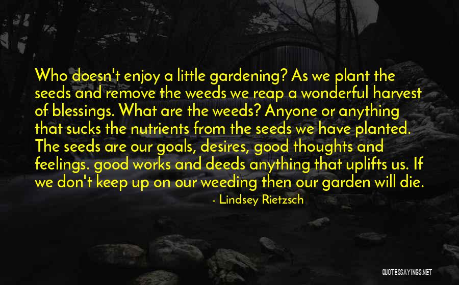 Garden Of Inspirational Quotes By Lindsey Rietzsch