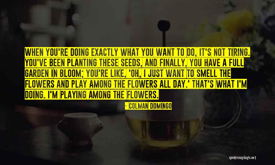 Garden Planting Quotes By Colman Domingo Garden Planting Quotes By Colman Domingo