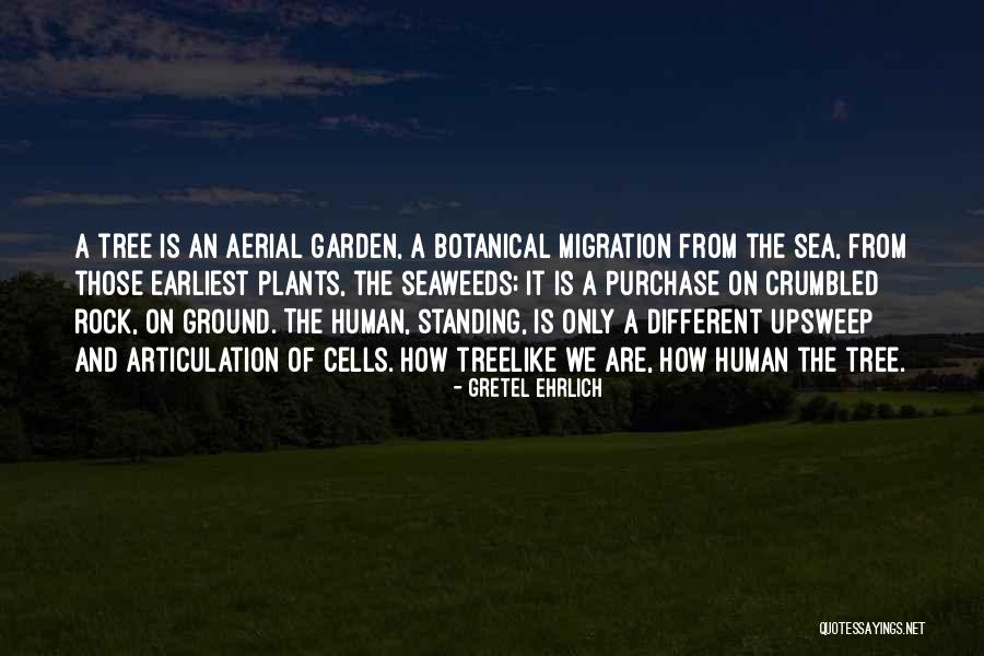Garden Rock Quotes By Gretel Ehrlich Garden Rock Quotes By Gretel Ehrlich