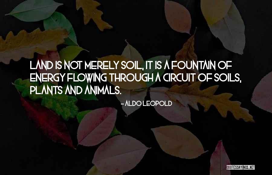 Garden Soil Quotes By Aldo Leopold