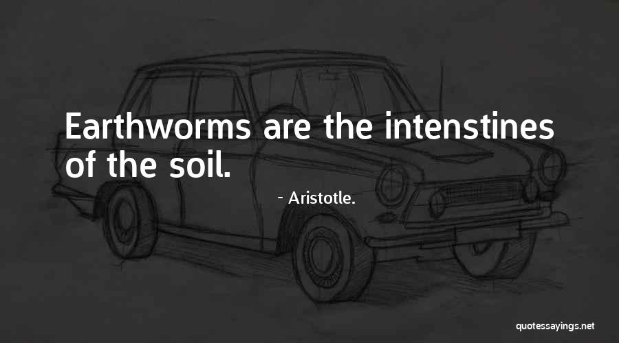 Garden Soil Quotes By Aristotle.