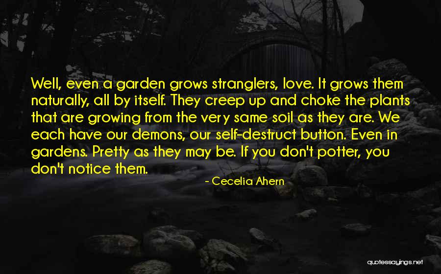 Garden Soil Quotes By Cecelia Ahern