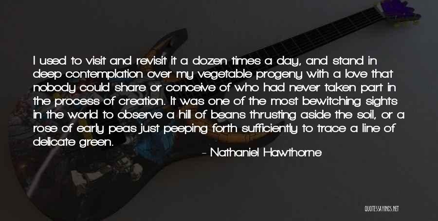 Garden Soil Quotes By Nathaniel Hawthorne