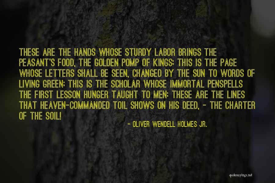 Garden Soil Quotes By Oliver Wendell Holmes Jr.