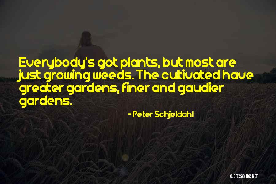 Garden Weeds Quotes By Peter Schjeldahl