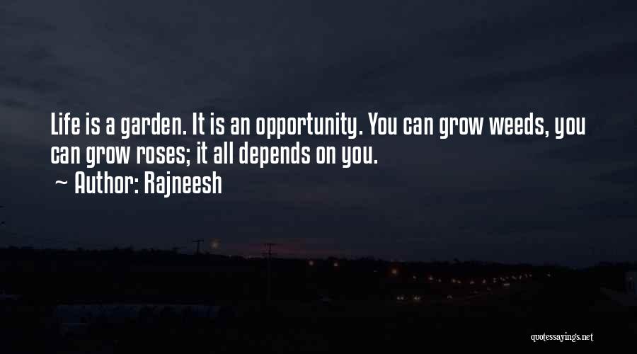Garden Weeds Quotes By Rajneesh