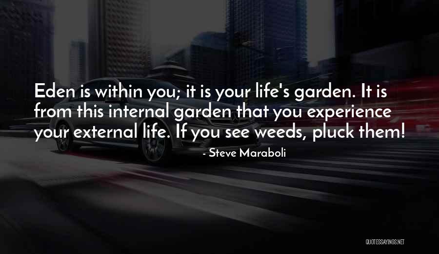 Garden Weeds Quotes By Steve Maraboli