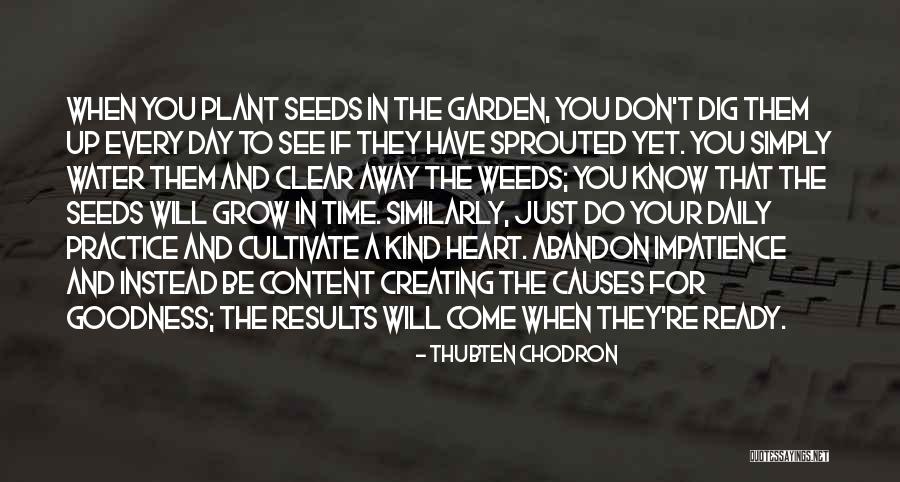 Garden Weeds Quotes By Thubten Chodron