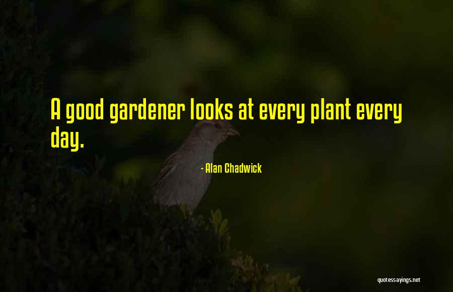 Gardener Quotes By Alan Chadwick Gardener Quotes By Alan Chadwick