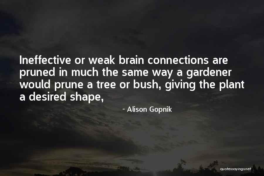 Gardener Quotes By Alison Gopnik Gardener Quotes By Alison Gopnik