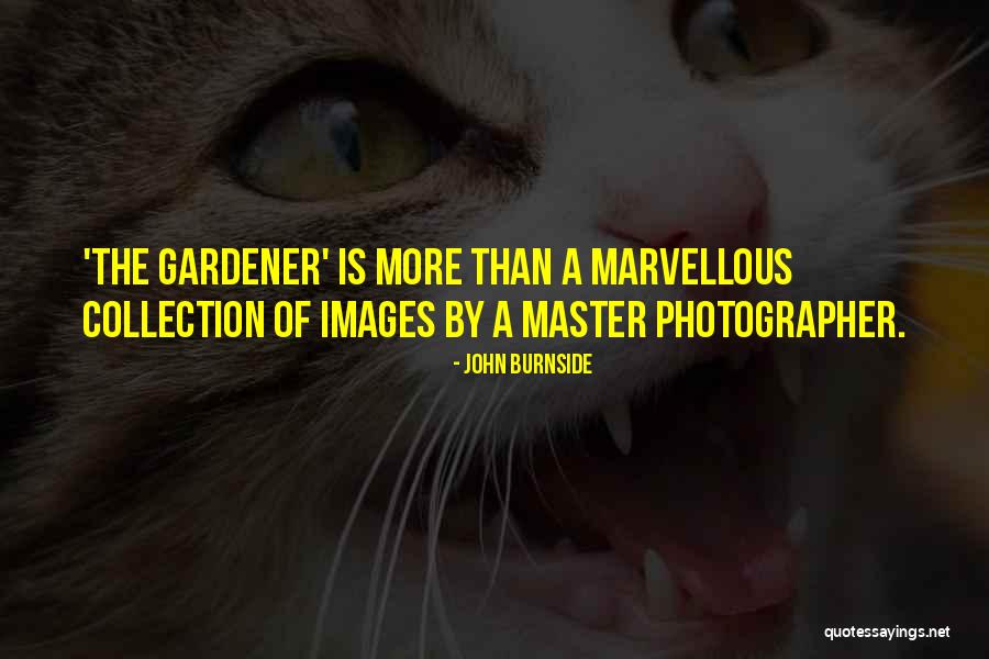 Gardener Quotes By John Burnside Gardener Quotes By John Burnside