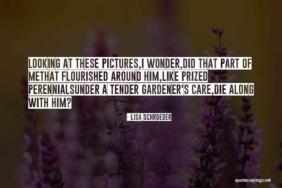 Gardener Quotes By Lisa Schroeder