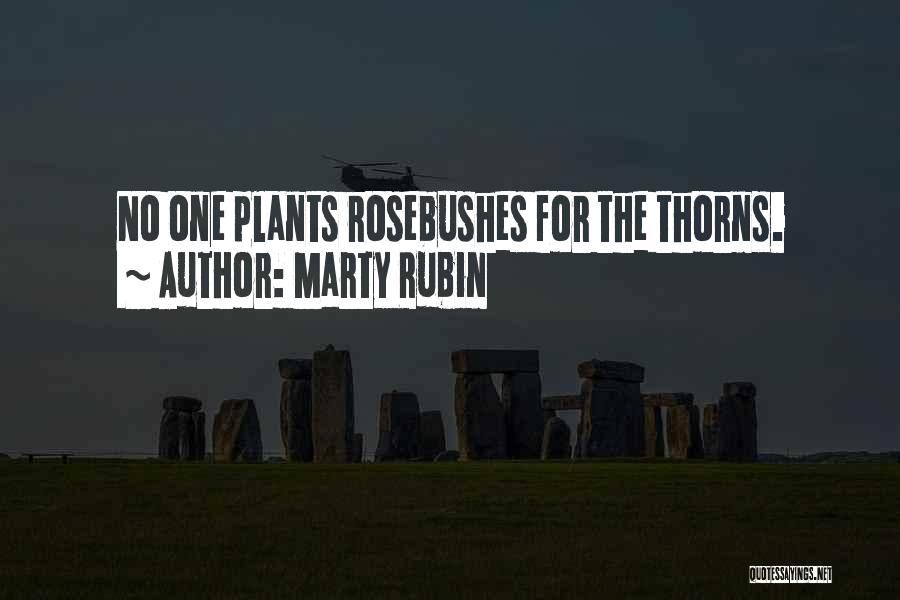 Gardening Quotes By Marty Rubin