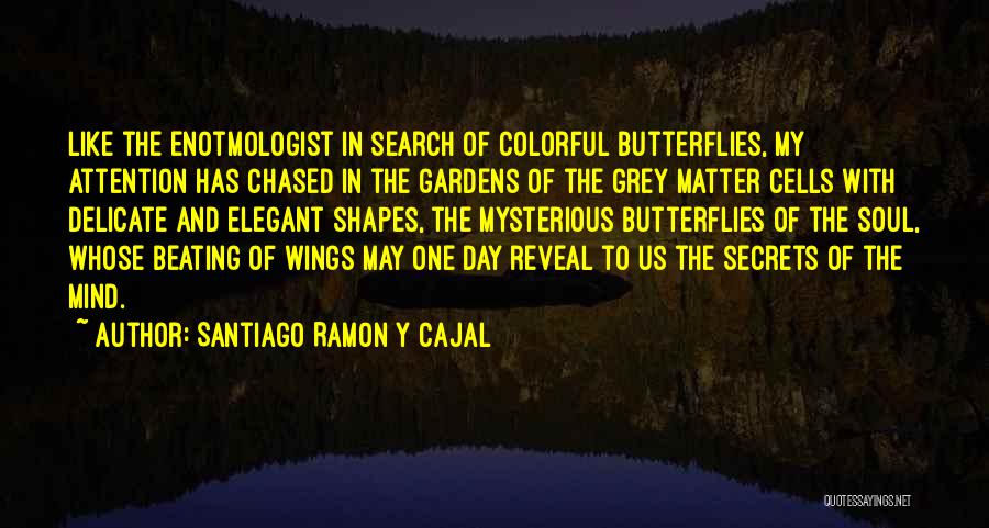 Gardens And Butterflies Quotes By Santiago Ramon Y Cajal