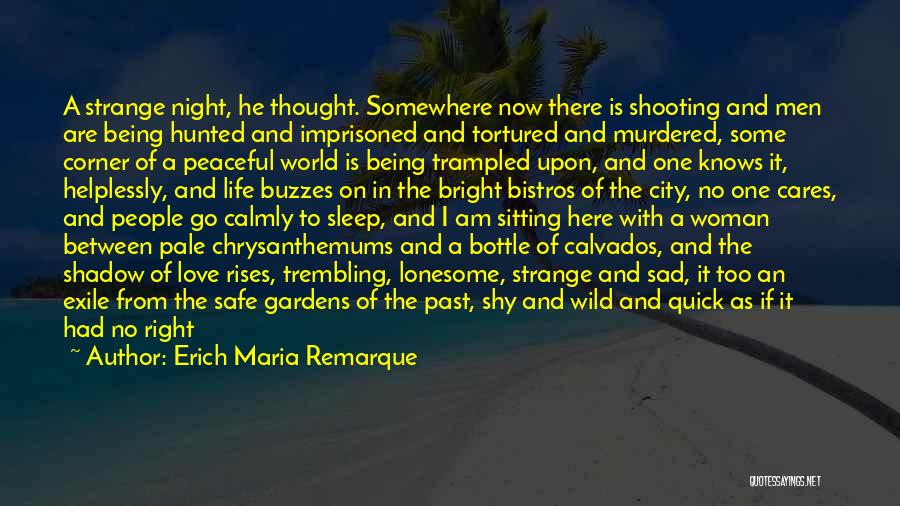 Gardens And Peace Quotes By Erich Maria Remarque