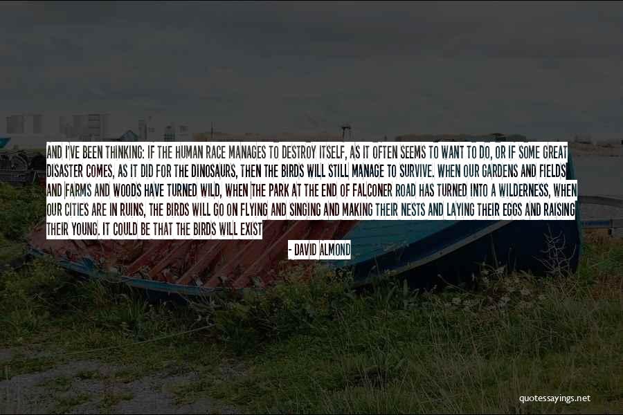Gardens End Quotes By David Almond Gardens End Quotes By David Almond